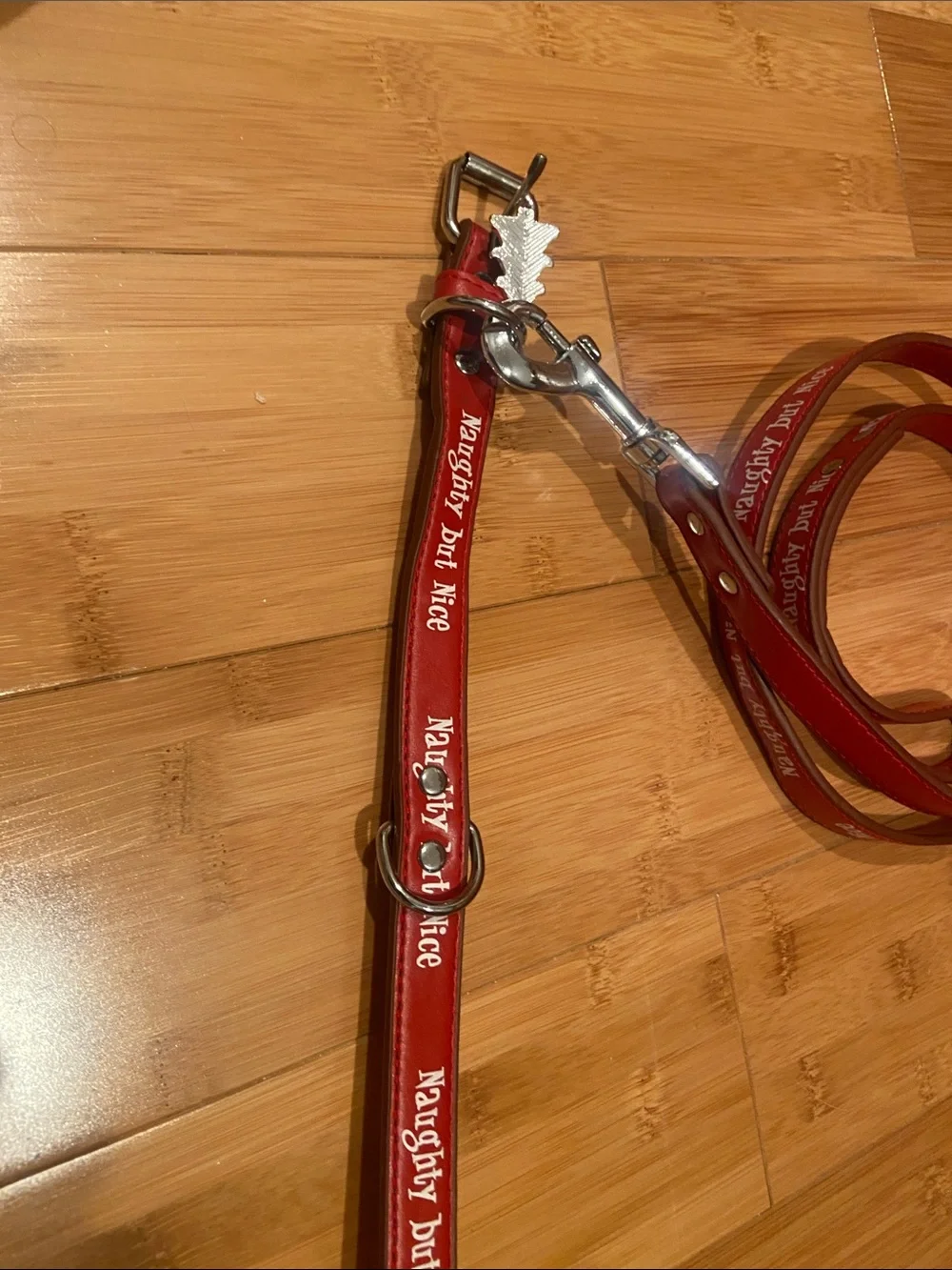Small Dog Collar